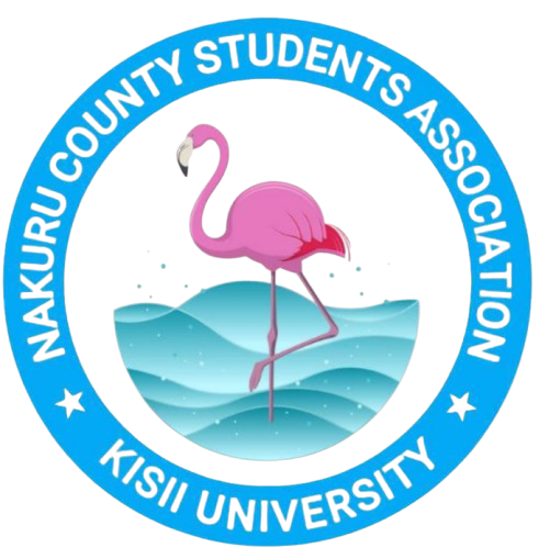 Nakuru County Health Network